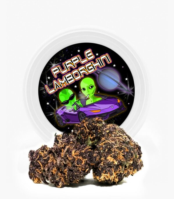 Westcoast Cali Tins – Premium Flower – Purple Lamborghini – 3.5g | The High Club Canada