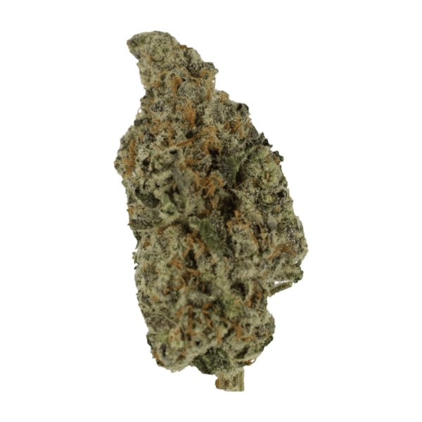 Biscotti Sundae | The High Club Canada