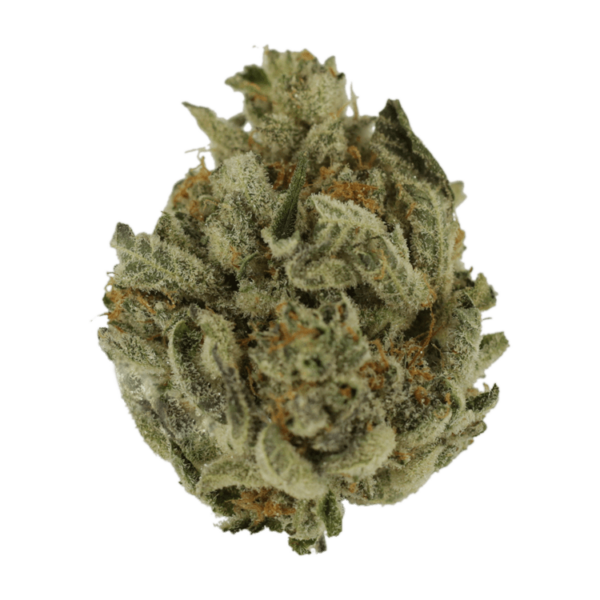 Biscotti Sundae | The High Club Canada