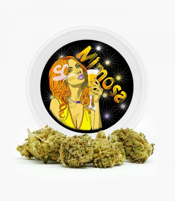 Westcoast Cali Tins – Premium Flower – Mimosa – 3.5g | The High Club Canada