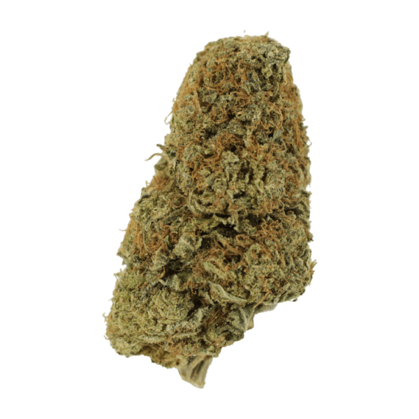 Sugar Pine | The High Club Canada Sugar Pine | The High Club Canada