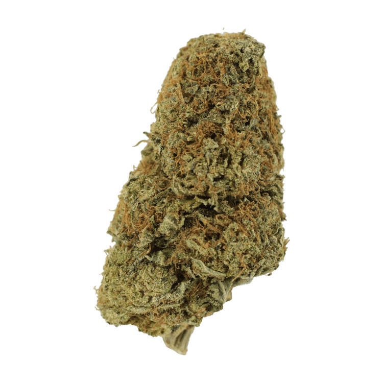 Sugar Pine | The High Club Canada Sugar Pine | The High Club Canada