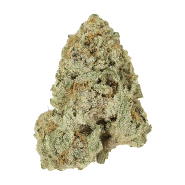 Dank Schrader | The High Club Canada