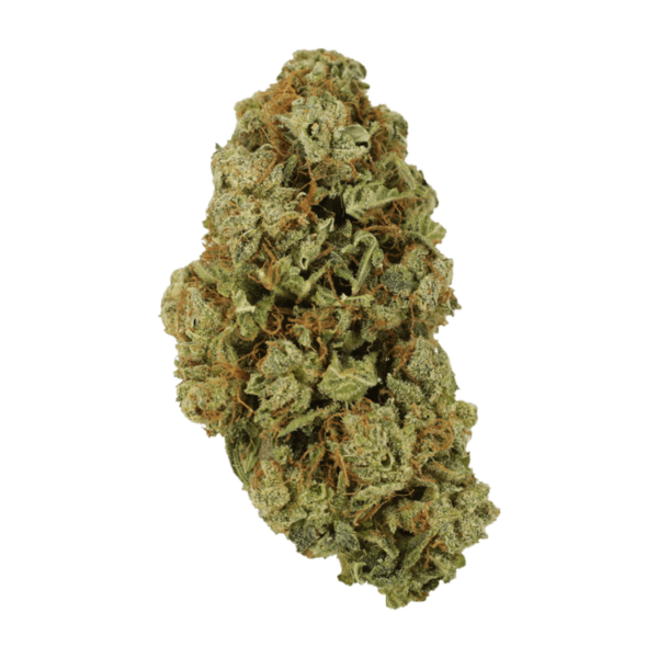 Sugar Pine | The High Club Canada