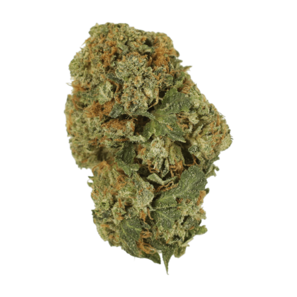 Dank Schrader | The High Club Canada Dank Schrader | The High Club Canada