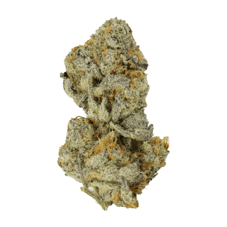 Bison Breath | The High Club Canada Bison Breath | The High Club Canada