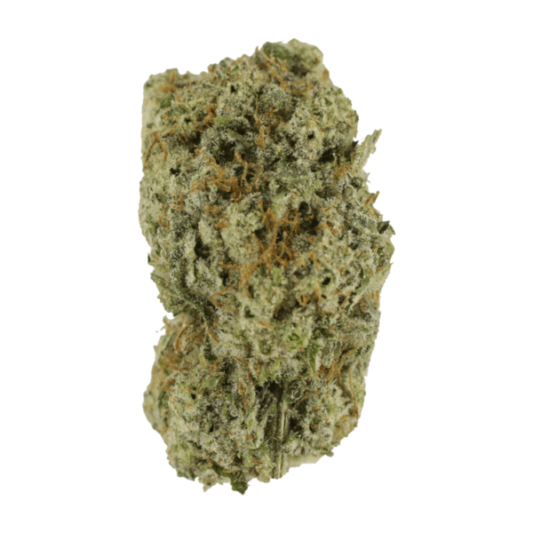 Eleven Roses | The High Club Canada