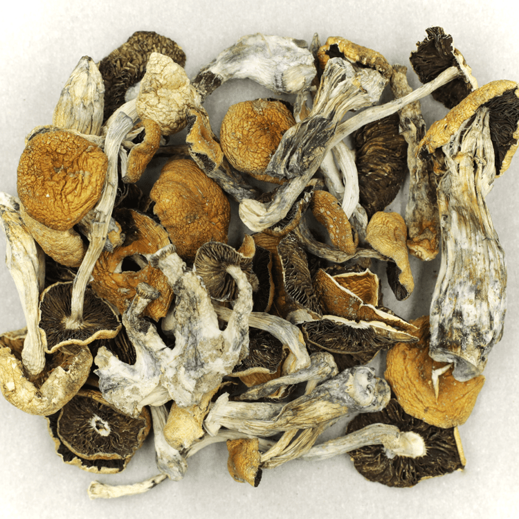 Puerto Rican | The High Club Canada Puerto Rican | The High Club Canada