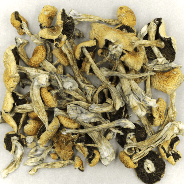 Puerto Rican | The High Club Canada Puerto Rican | The High Club Canada