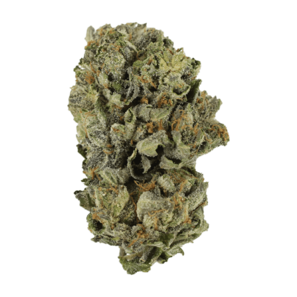 Cerebro Haze | The High Club Canada