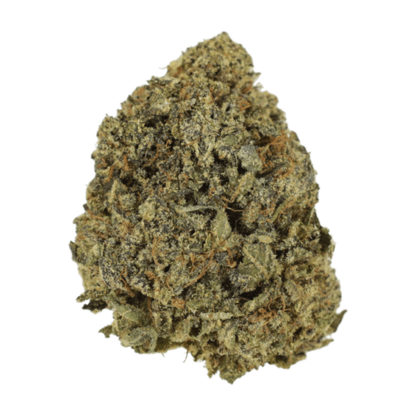 G13 | The High Club Canada