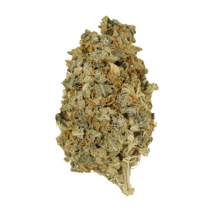 Mint Cookies | The High Club Canada