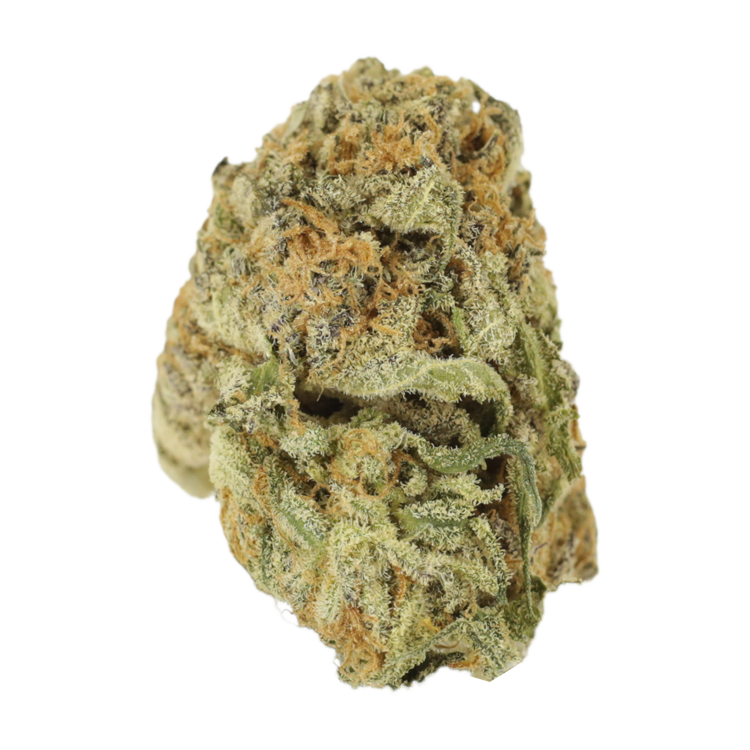 Mimosa Punch | The High Club Canada Mimosa Punch | The High Club Canada