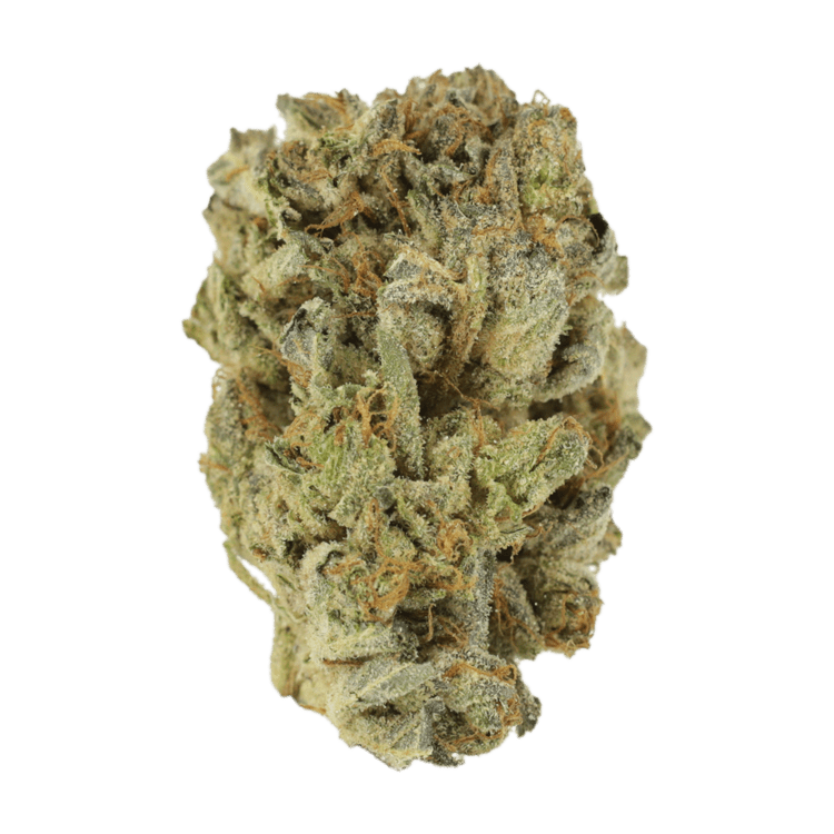 Mimosa Punch | The High Club Canada Mimosa Punch | The High Club Canada