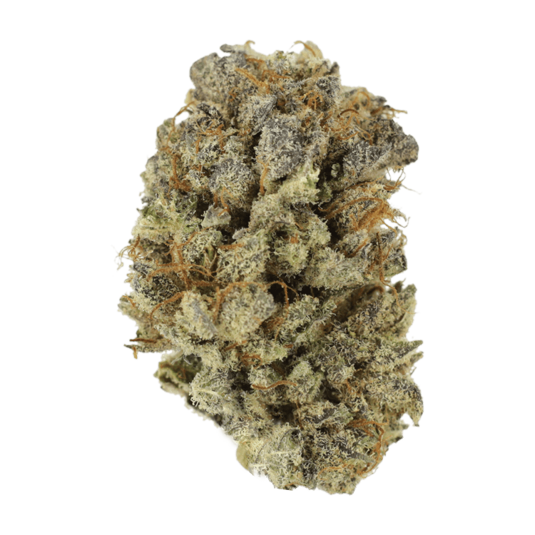 Mimosa Punch | The High Club Canada Mimosa Punch | The High Club Canada