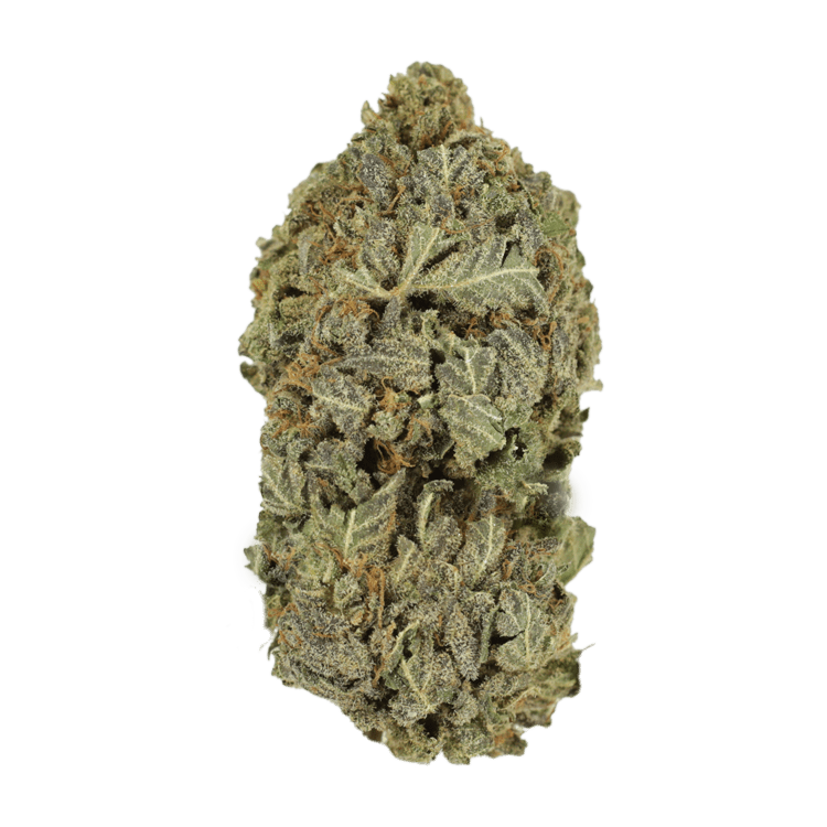 Purple Dream | The High Club Canada Purple Dream | The High Club Canada