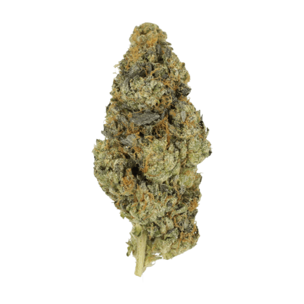 DoSi Face | The High Club Canada