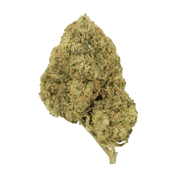 Laughing Buddha | The High Club Canada Laughing Buddha | The High Club Canada