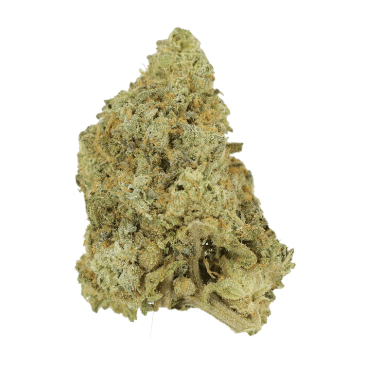 White Fire OG | The High Club Canada White Fire OG | The High Club Canada