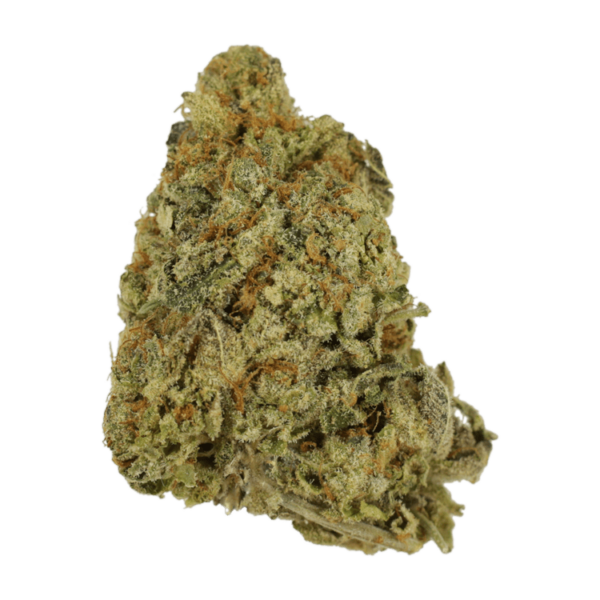 G Whiz | The High Club Canada G Whiz | The High Club Canada