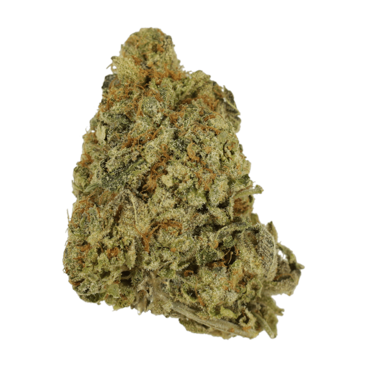 G Whiz | The High Club Canada G Whiz | The High Club Canada