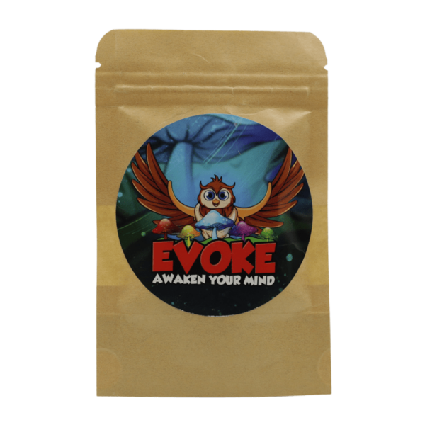 Evoke – Medicinal Mushrooms – Microdose Capsules | The High Club Canada