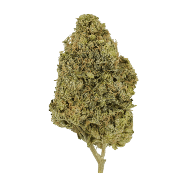 Blunicorn | The High Club Canada