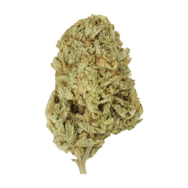 Face Mints | The High Club Canada