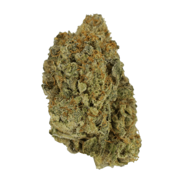 Rainbow Belts | The High Club Canada