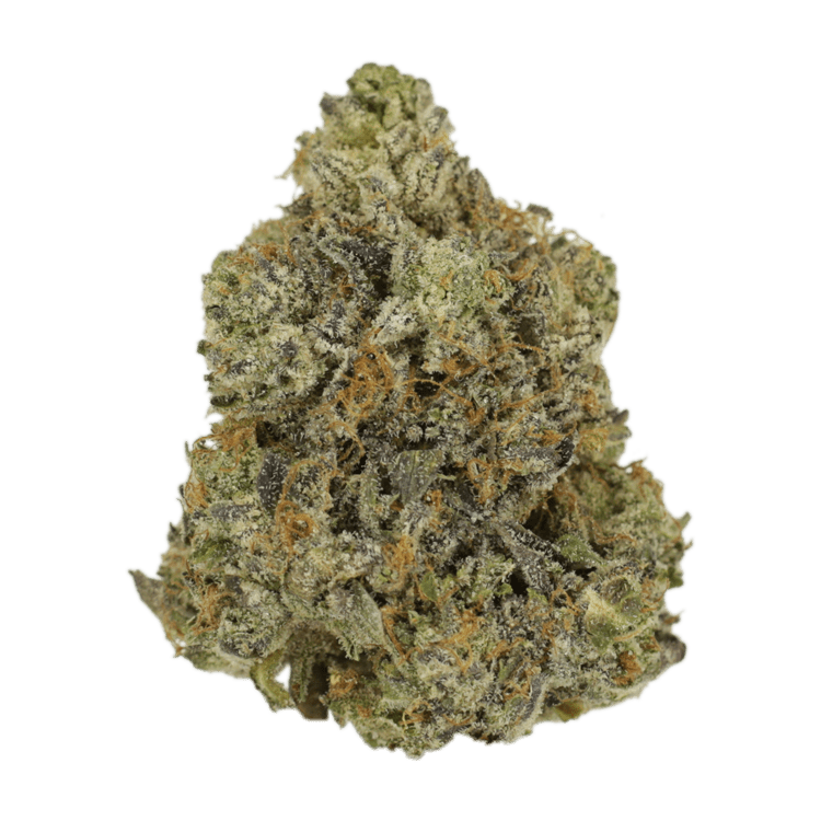 Rockstar | The High Club Canada Rockstar | The High Club Canada