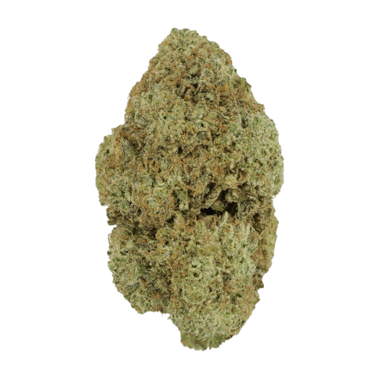 Vanilla Wafer | The High Club Canada Vanilla Wafer | The High Club Canada