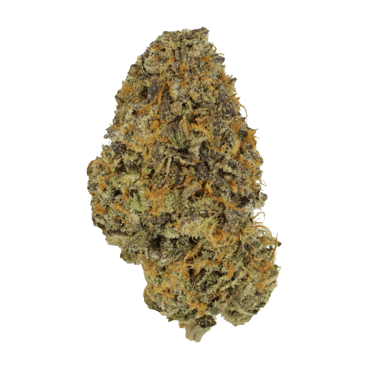 Blackberry Nightmare | The High Club Canada Blackberry Nightmare | The High Club Canada