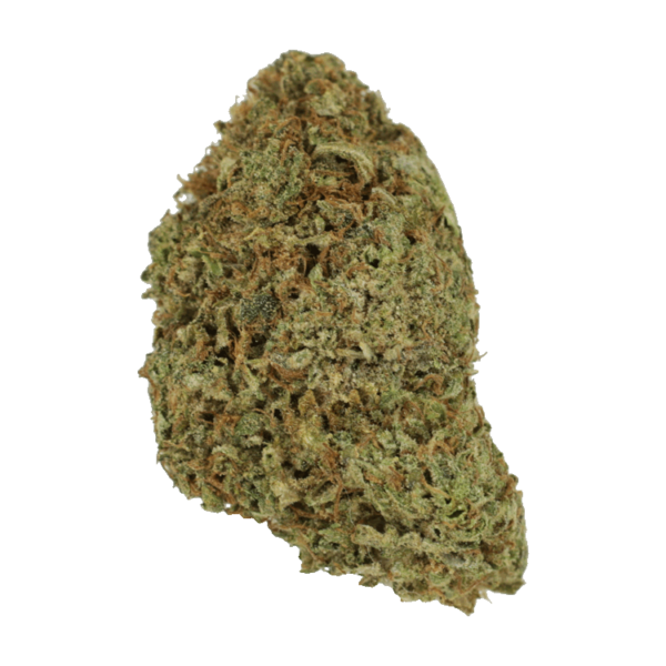 Super Pink | The High Club Canada Super Pink | The High Club Canada