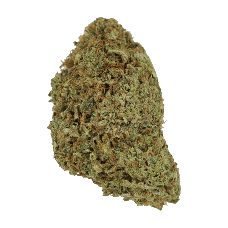 Super Pink | The High Club Canada Super Pink | The High Club Canada