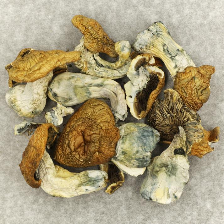 King Kong | The High Club Canada King Kong | The High Club Canada