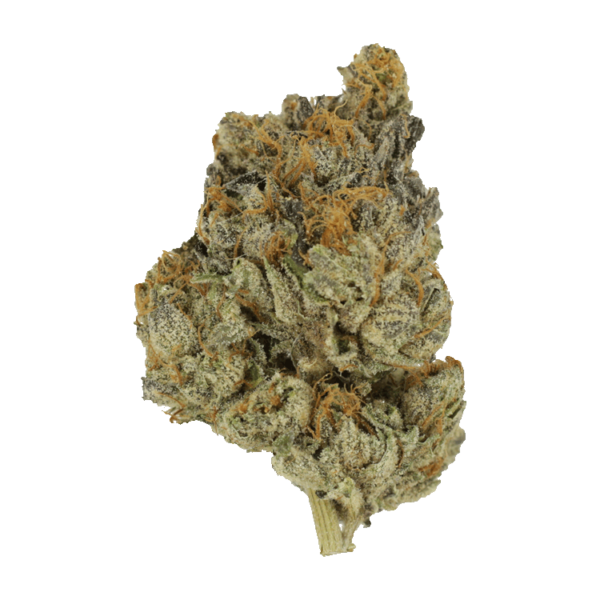 Divorce Cake | The High Club Canada