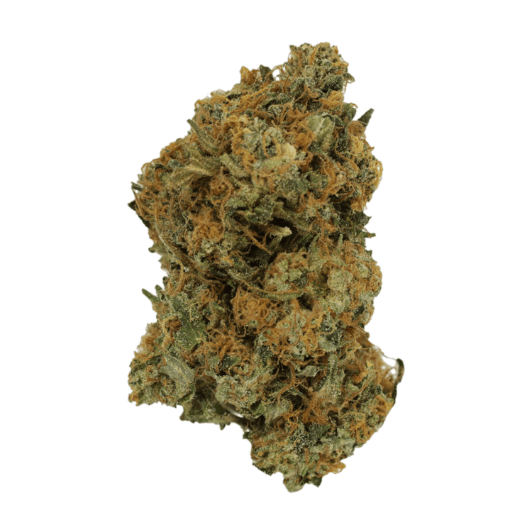 Blue Alpha | The High Club Canada Blue Alpha | The High Club Canada