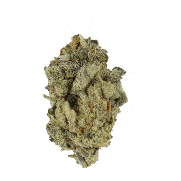 Gorilla Butter | The High Club Canada Gorilla Butter | The High Club Canada