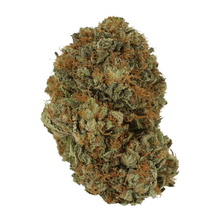 Sherbert | The High Club Canada Sherbert | The High Club Canada