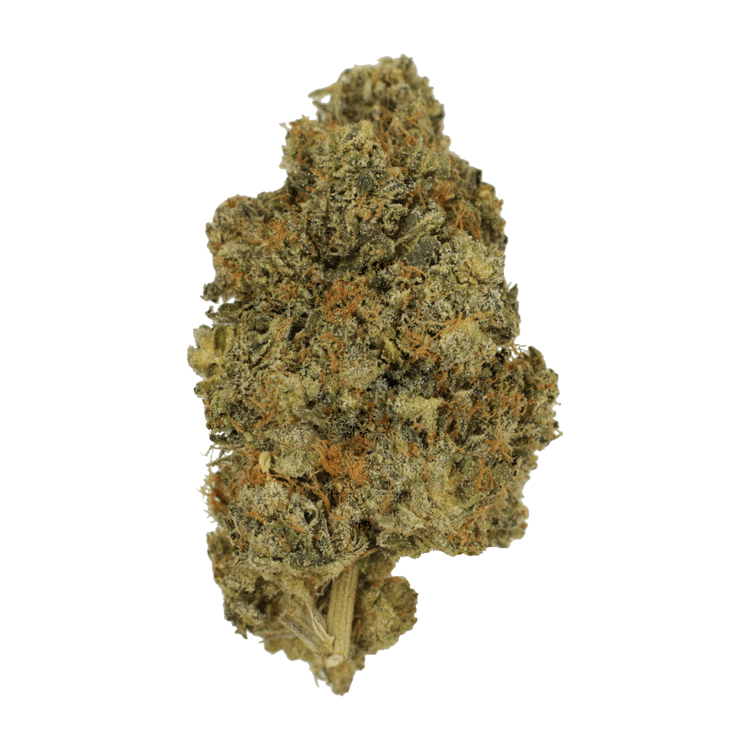 Pure Kush | The High Club Canada Pure Kush | The High Club Canada