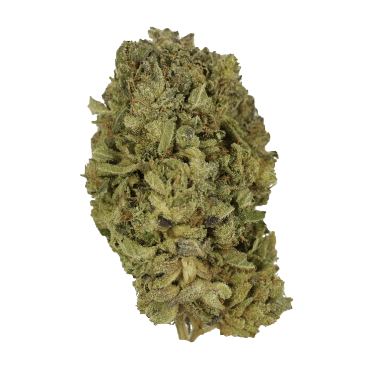 Nerds – $35/oz | The High Club Canada Nerds – $35/oz | The High Club Canada