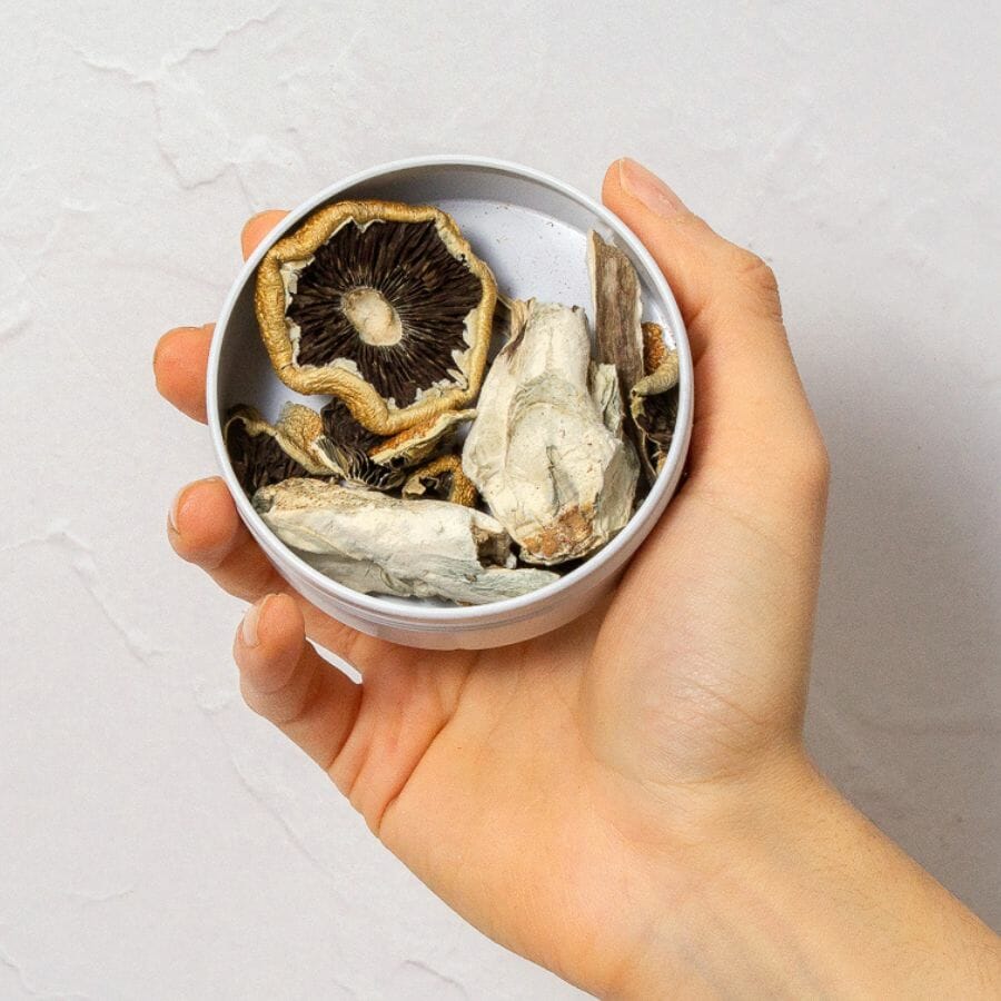 Mushroom Sample Pack – 14g – Save 20% | The High Club Canada Mushroom Sample Pack – 14g – Save 20% | The High Club Canada