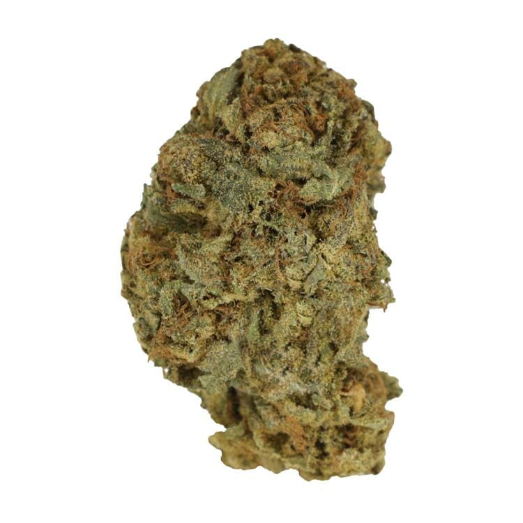 Blue God | The High Club Canada Blue God | The High Club Canada