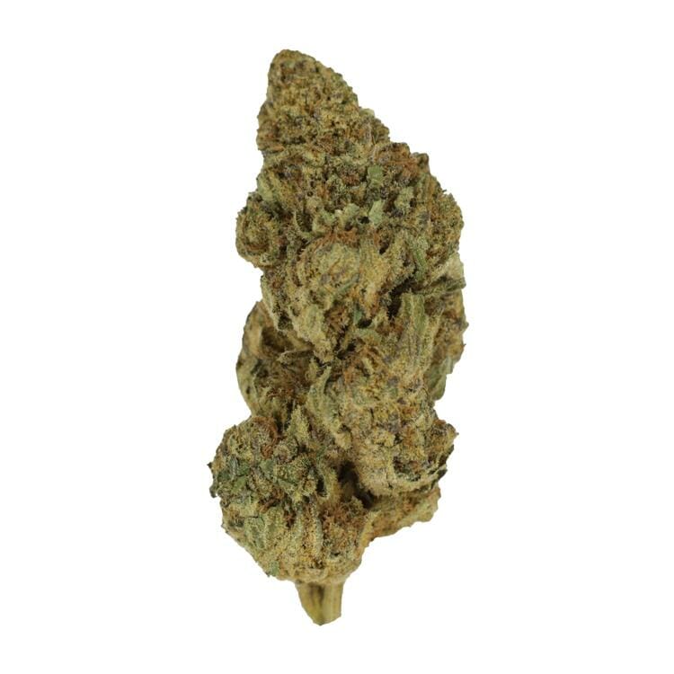 Hawaiian | The High Club Canada Hawaiian | The High Club Canada