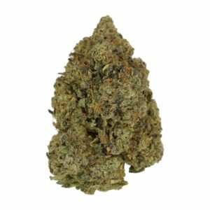 Love Affair | The High Club Canada