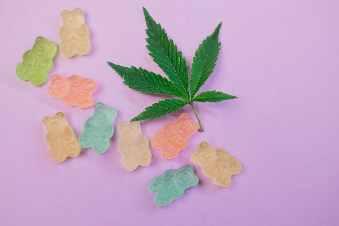 Cannabis Edibles | The High Club Canada