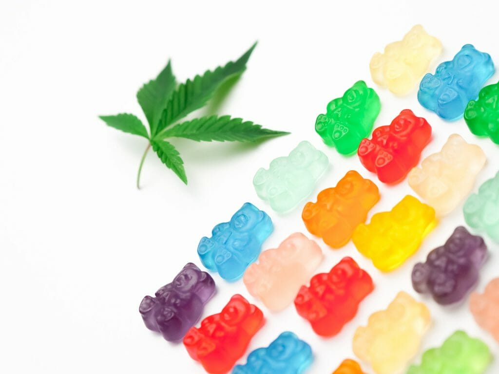 Edible Delights: A Guide to the Most Delicious cannabis in Edmonton | The High Club Canada | The High Club Canada