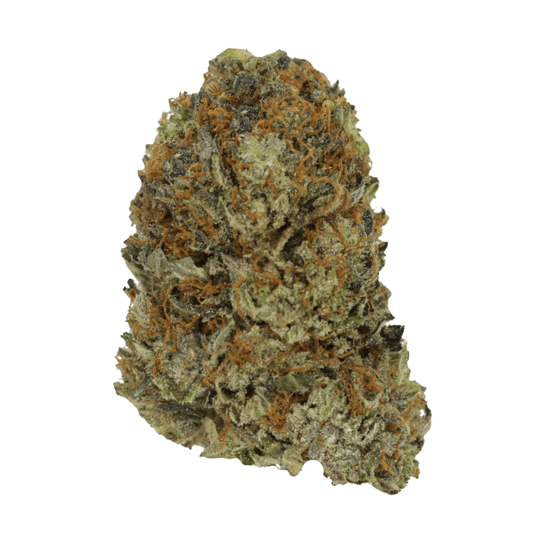 Tropical Zkittlez | The High Club Canada Tropical Zkittlez | The High Club Canada