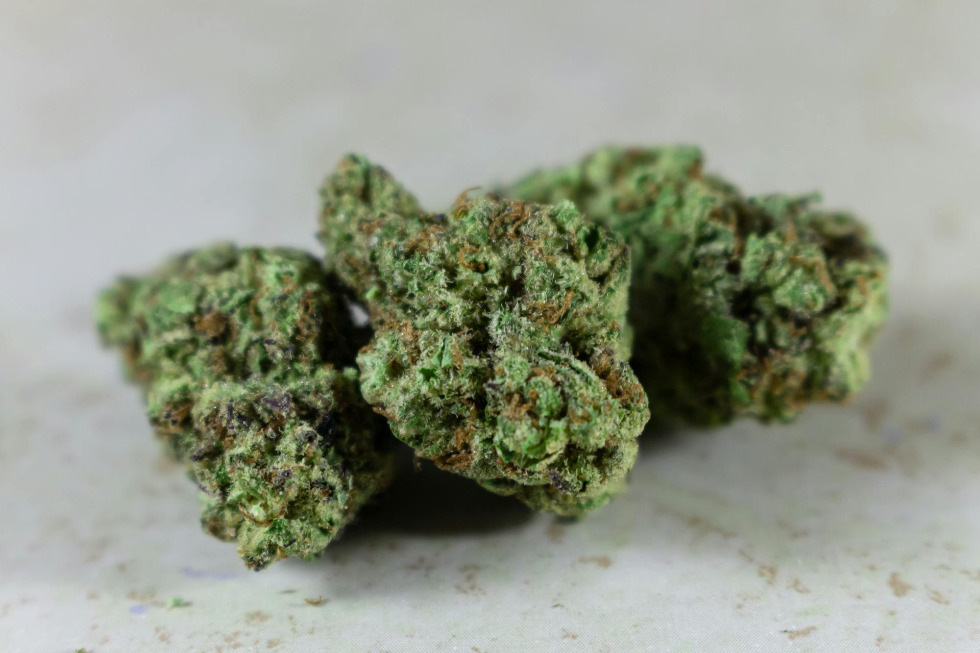 Best Indica Online in Canada | The High Club Canada