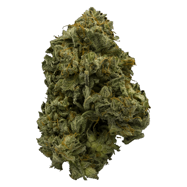 Pink Panties | The High Club Canada Pink Panties | The High Club Canada